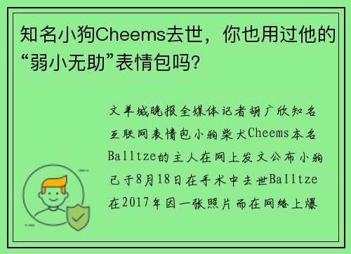 知名小狗Cheems去世，你也用过他的“弱小无助”表情包吗？