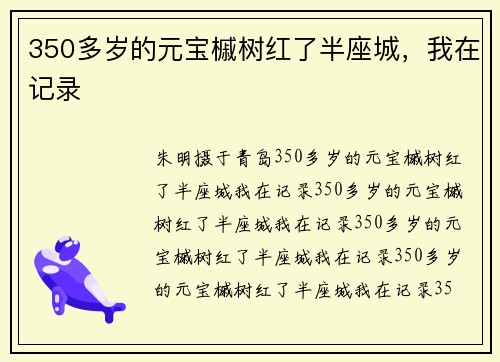 350多岁的元宝槭树红了半座城，我在记录
