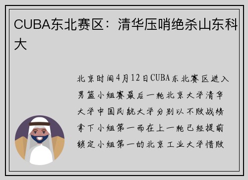 CUBA东北赛区：清华压哨绝杀山东科大