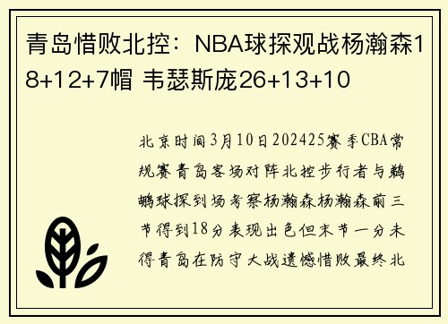 青岛惜败北控：NBA球探观战杨瀚森18+12+7帽 韦瑟斯庞26+13+10